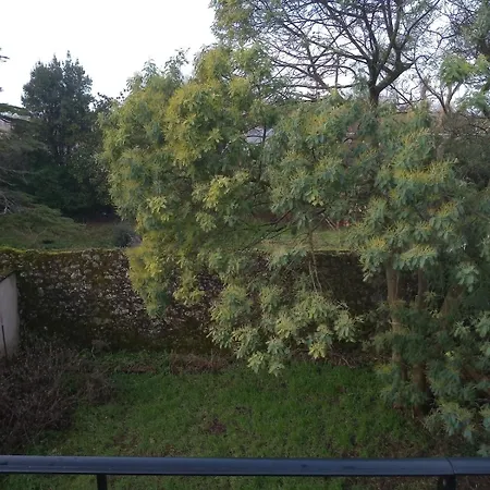 Dans Les Arbres Avec La A Pieds * Agon-Coutainville