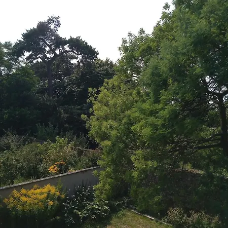 Dans Les Arbres Avec La A Pieds Agon-Coutainville